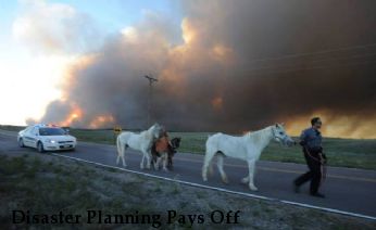 Disaster Planning Pays Off